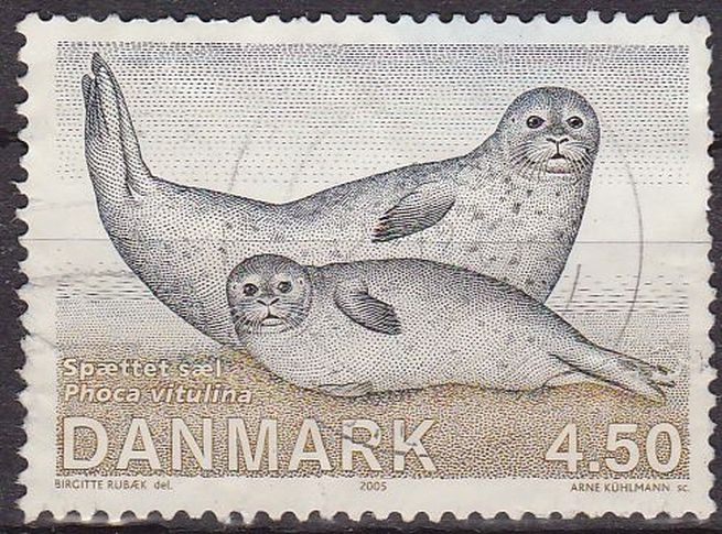Dinamarca 2005 Scott 1343 Sello º Foca Vitelina Denmark Danemark